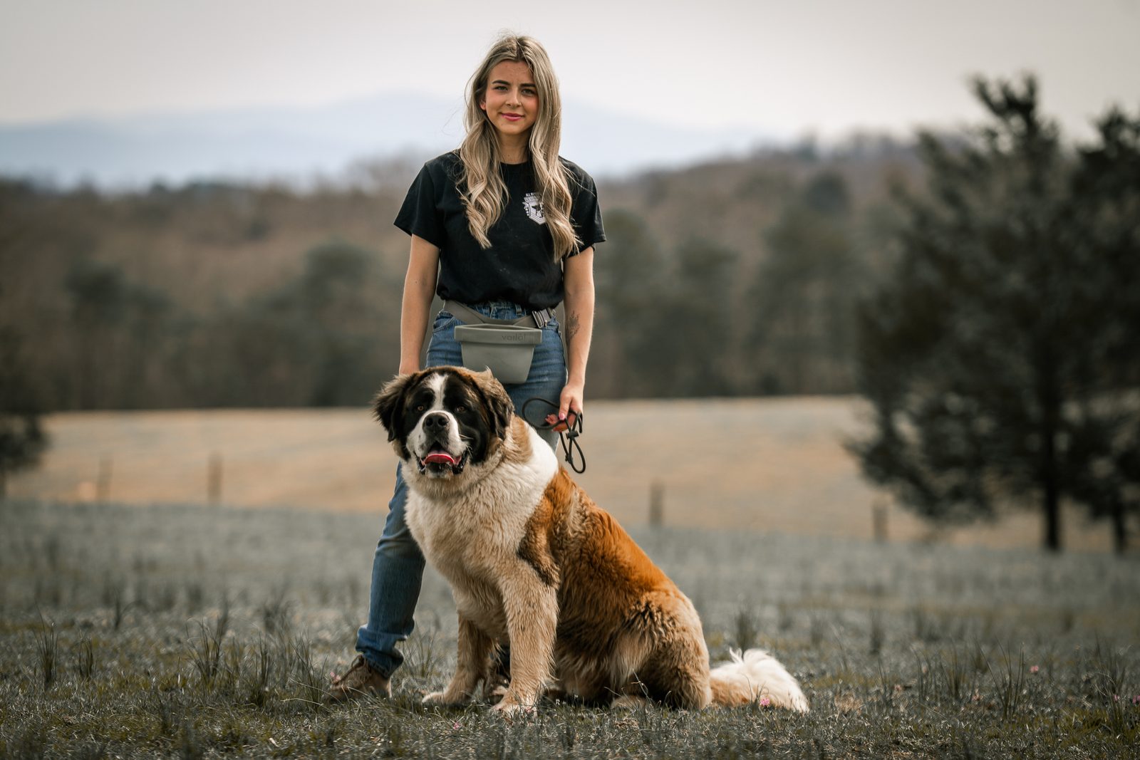 A woman sitting in a field beside a seated Saint Bernard